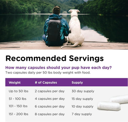 Nutri-Vet Probiotics for Dogs, Supports Digestive Health, Dog Probiotics, Promotes Healthy Immune System, Vet Formulated, Gut Health, Puppy Supplies, 60 Count Capsules