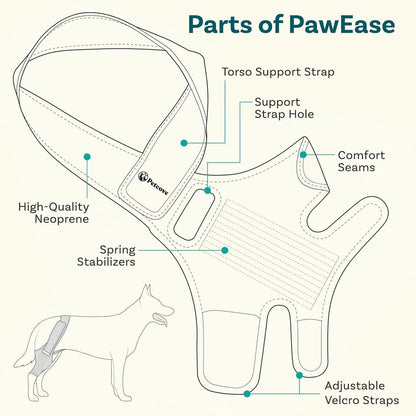 PetCove Dog Knee Brace for Torn Acl Hind Leg — Neoprene Compression, Spring Stabilizers, Belly Band Support Strap, Adjustable Velcro Fit, ACL/CCL, Arthritis, Front/Back Leg, Post-Surgery Recovery