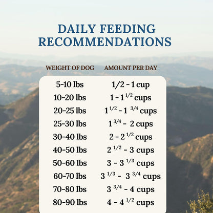 360 Pet Nutrition Freeze-Dried Raw Dog Food – Beef Recipe with Liver & Organs, High Protein with Omega-3s, Fruits, Veggies & Superfoods, Grain-Free, No Fillers, 1 lb – Made in USA