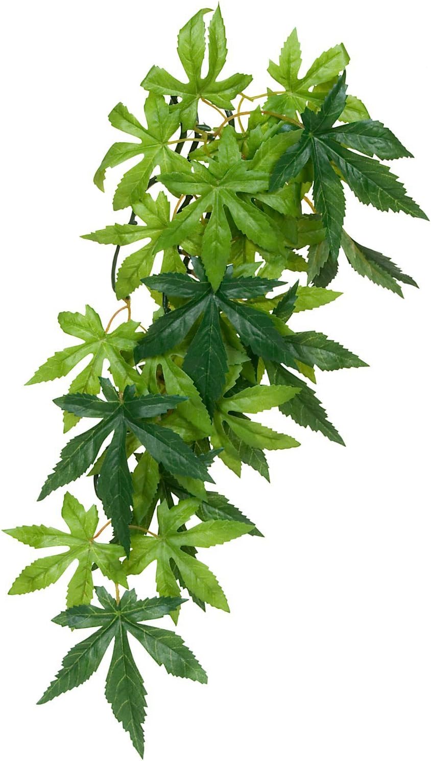 Hagen Exo Terra Silk Terrarium Plant, Small, Abutilon (Pack of 2)