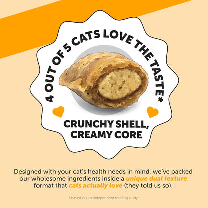 Cat Immune Support Lysine – Allergy Relief & Immune Health Supplement for Cats with L-Lysine, Colostrum, Quercetin & Omega-3 – Soothes Sneezing, Runny Nose & Itchy Skin Chicken, (30-Day Supply)