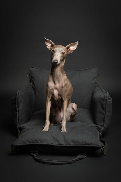 Noah & Paw Dog Car Seat Carrier, Small Dog Car Seat for Small Medium Pets with Harness Clip, 4X Safety Feature, Booster Travel Bed, Waterproof Washable, Orthopedic Foam Filling, Canvas Collection