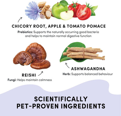 CRUMPS NATURALS Gutsy-Calm Bites 4.6oz/130g, Dog Treats, Supplements