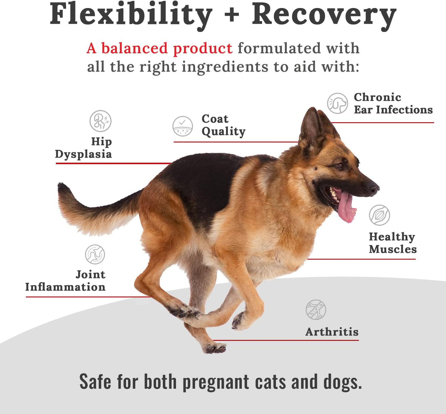 10# Mojo Horse Suppment with Food-Grade Mojo Dog and Cat Supplement