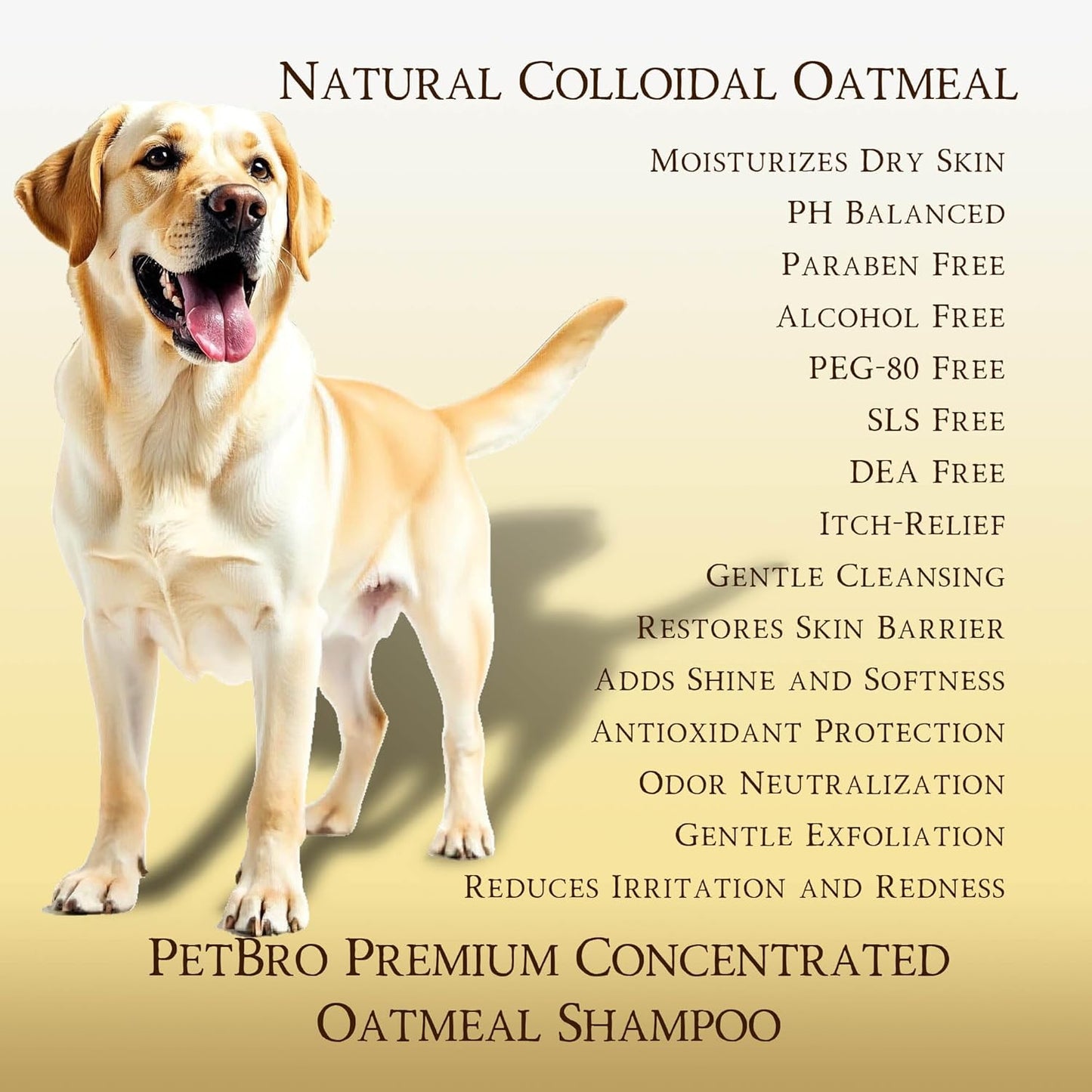 Premium Concentrated Oatmeal Dog Shampoo with Coconut and Aloe (17 oz) - Soothing and Itch Relief, Moisturizes Dry Skin