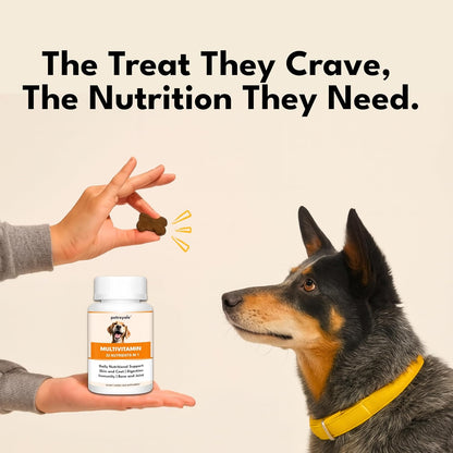 Multivitamin Chews for Dogs - Joint Support + Digestive Enzymes & Probiotics - Dog Multivitamins Chewable - Puppy & Senior Dog Vitamins - Daily Dog Multivitamin and Supplements-50 Soft Chews