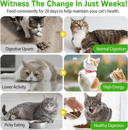 Hairball Treatment for Cats, Hairball Remedy Treats Chews, Cat Furball Treatment, Prevent Hairballs for Indoor Cats, Supports Skin & Coat, Vitamins for Digestion, Chicken Flavor (60 Day Supply)