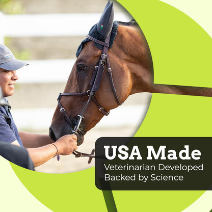 SynChill Oral Horse Calming Gel, 100% Natural & Nutritional Supplement, Lab Proven Results, Designed for Focus & Performance, Approved by Olympic Professionals & Veterinarians, Made in USA - 2 Pack