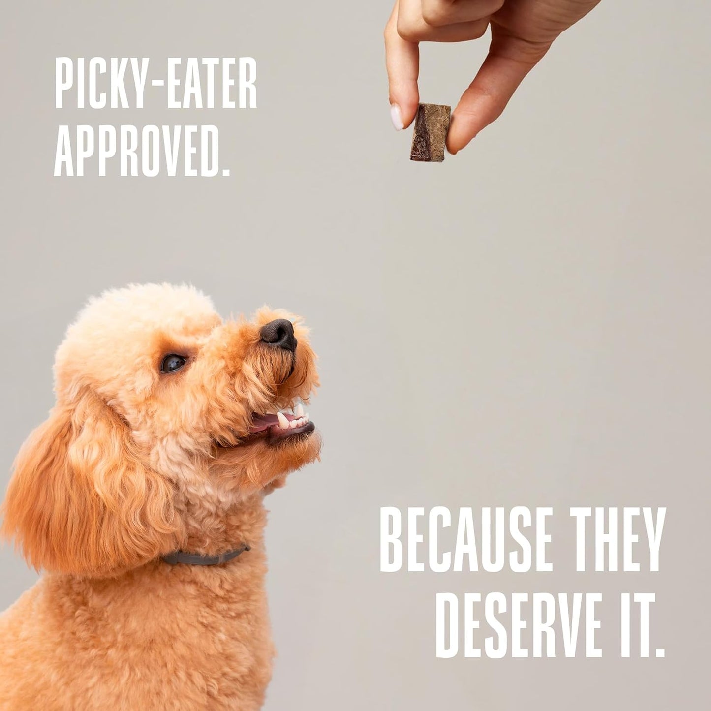 Whole Life Dog Just One Beef Liver Freeze Dried Dog Treats - Human Grade High Protein Food, Healthy Training Snacks, Freeze Dried Food Toppers, USA Made Natural Treats - 10 oz (Pack of 1)