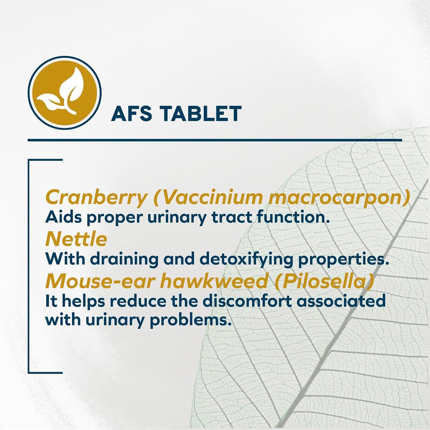 Forza10 - Cat Food, Limited Ingredient Cat Food for Urinary Health and UTI Support, Non-GMO, Fish Flavor, Made in Italy (0.88 lb)