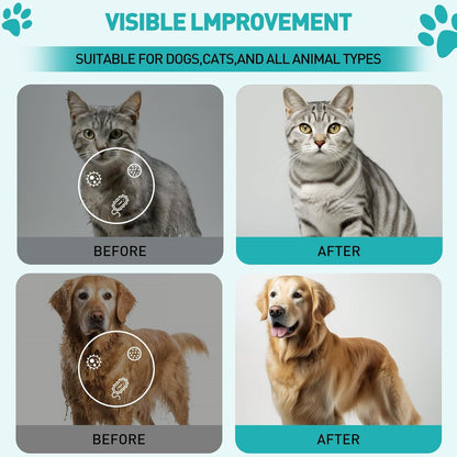 QuickClean Pet Cleaning Gloves ，Extra-Thick Pet Glove Wipes for Dogs & Cats – Gentle & Lick-Safe Dog Bath Wipes – Easy Wipe Paws, Eyes, Ears, & Body – Grooming & Deodorizing (6 Pack)