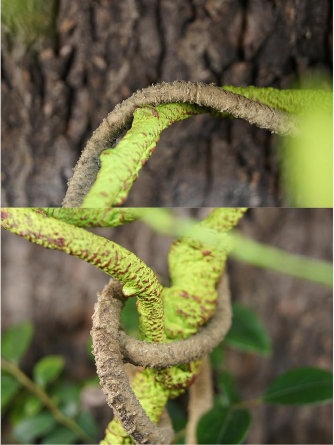 Reptile Vines For Terrarium, Reptile Plants For Terrarium, Fake Natural Enrichment Hides Plants Vines For Leopard Gecko Chameleon Turtle Hermit Crab