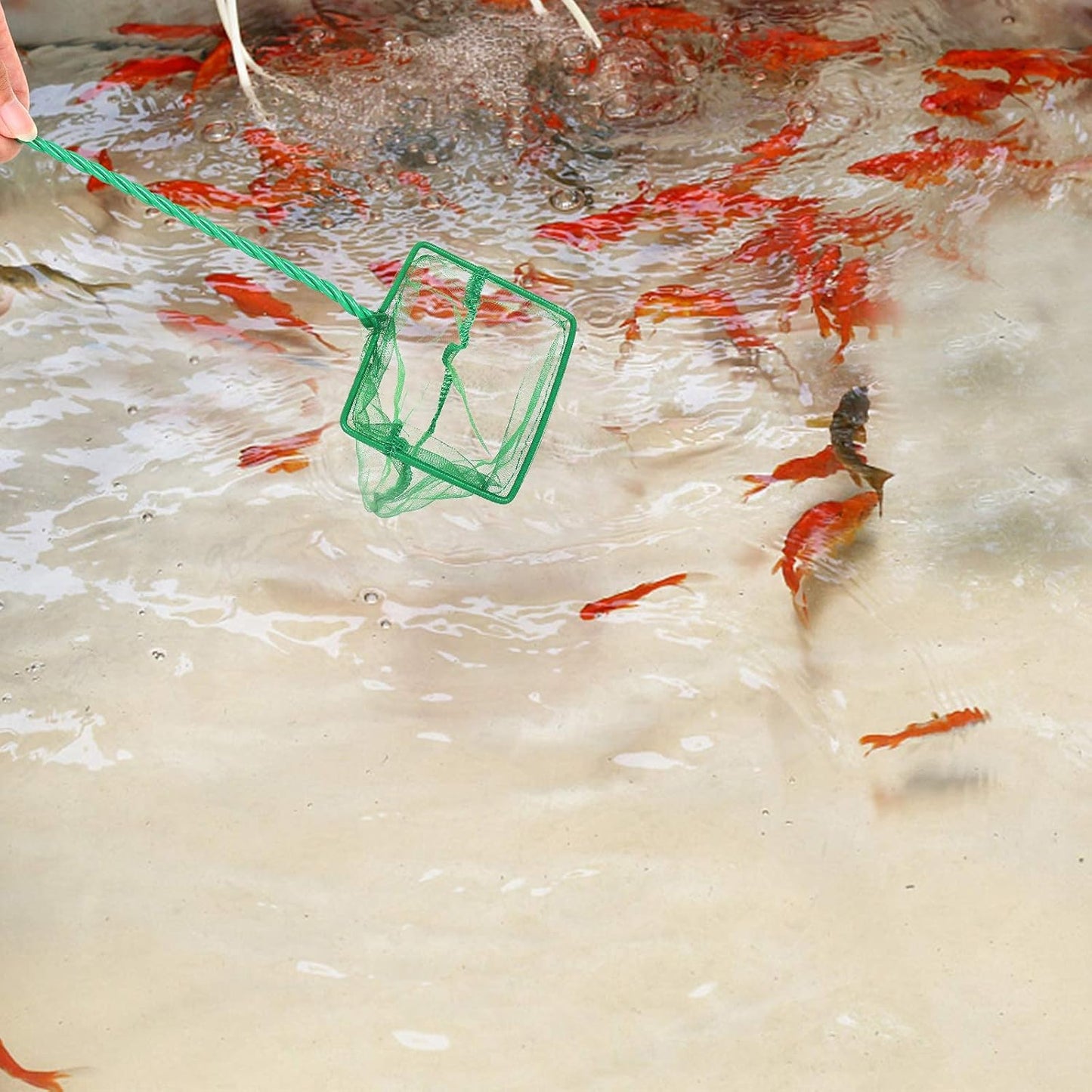 3PCS Aquarium Fish Net Fine Mesh Net Quick Catch Nets Nylon Fishing Nets with Long Plastic Handle for Fish Tank, Green, 3in 4in 6in