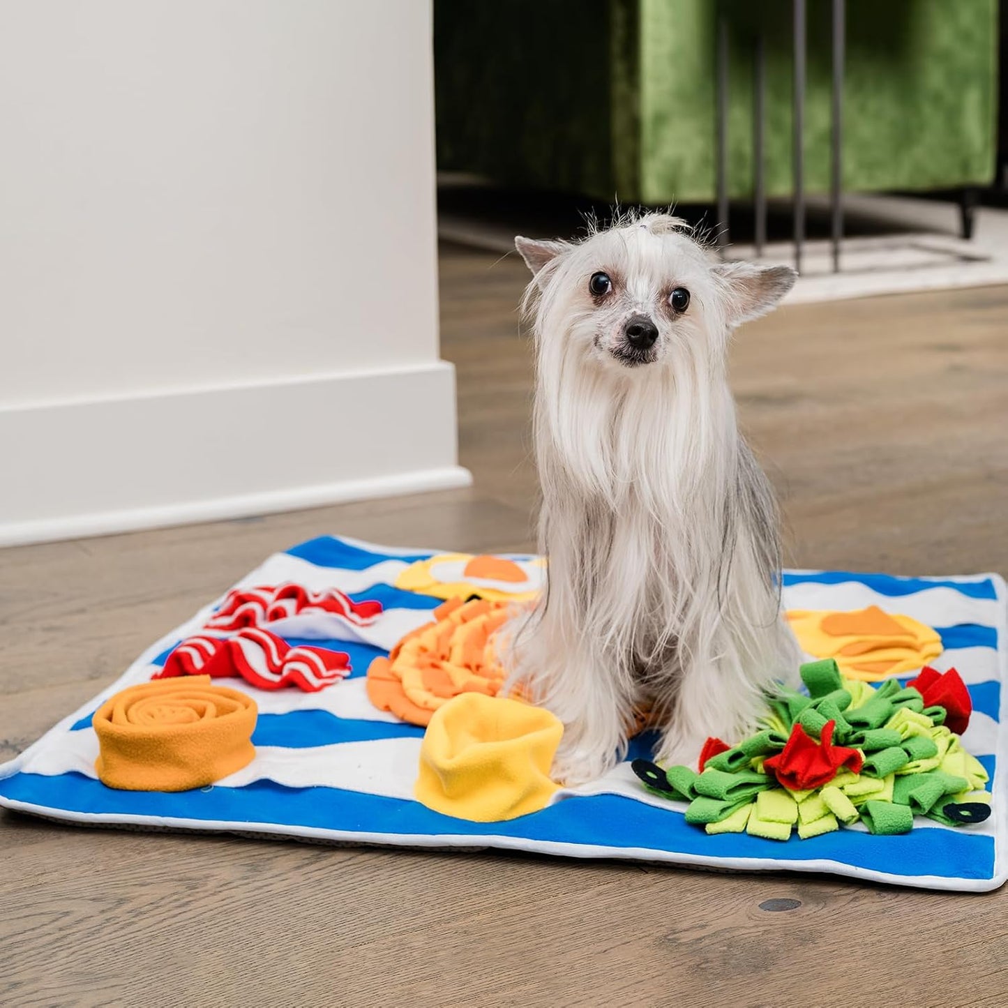 Snuffle Mat for Dogs, 19” x 19” Large Interactive Feeder to Keep Them Busy & Mentally Stimulated, Machine Washable Slow Feed Bowl for All Breeds Size, Plush Chew Relief Mat