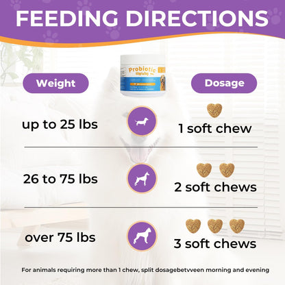 Dog Allergy and Immune Relief Chews - Probiotics for All Breeds and Ages Dogs, Support Gut Digestive Health, Anti Diarrhea, Constipation Relief, Dog Supplements - Pork Flavor - 90 Soft Chews