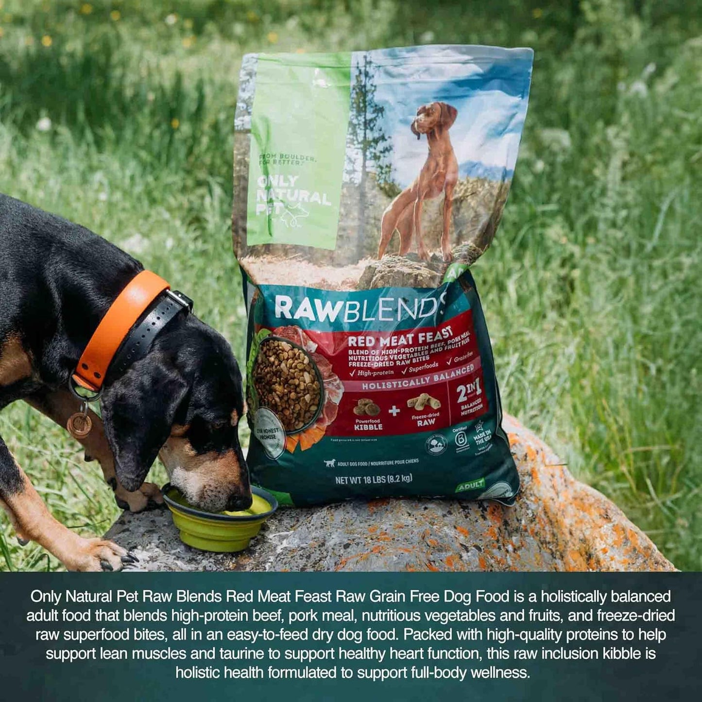 Only Natural Pet Raw Blends Red Meat Feast - Adult Grain-Free High Protein Dog Food - Includes Beef & Pork Meal, Freeze-Dried Raw Superfoods for Holistic Wellness & Full-Body Health - 18 lbs