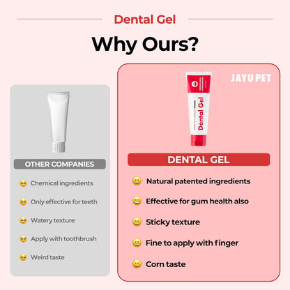 JAYU PET Dental Gel - Dog Cat Toothpaste, Removing Plaque and Tartar, Teeth Cleaning & Breath Freshener, Puppy Kitten Dental Care with Vet Approved (2.82oz. 80g)