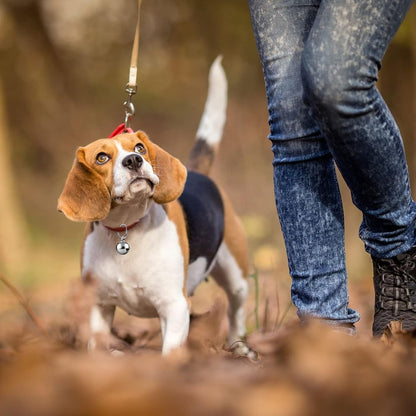 Waziaqoc Pet Bells for Dogs and Cats