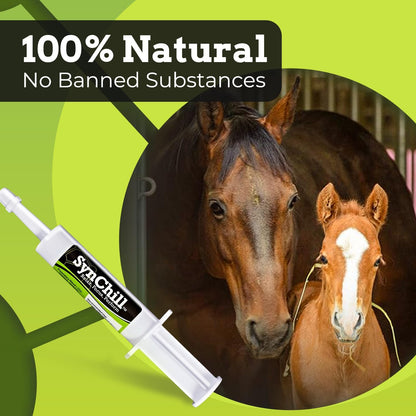 SynChill Oral Horse Calming Gel, 100% Natural & Nutritional Supplement, Lab Proven Results, Designed for Focus & Performance, Approved by Olympic Professionals & Veterinarians, Made in USA - 2 Pack