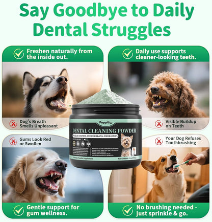 Dog Dental Powder – Teeth Cleaning Powder with 6B CFU Probiotics, Enzymes & Antioxidants, Plaque & Tartar Off, Fresh Breath Support, No Brushing Oral Care, Mint Beef Flavor, 75 Servings