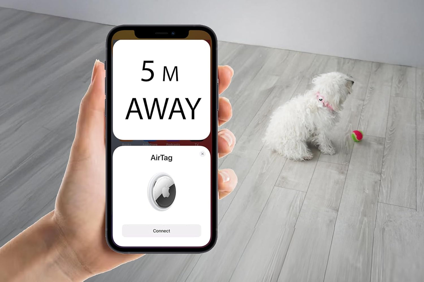 Essential Pet Supplies: Pet Collar for Small Dogs with Reflective AirTag Holder and Secure,Comfortable Padding Bundled with Safe Dog Nail Clippers and Self-Cleaning Dog Brush