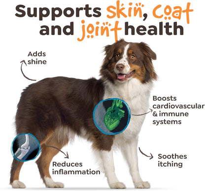 Salmon Oil for Dogs and Cats, Wild Alaskan Salmon Oil for Dogs Skin, Coat and Joint, Omega 3 Fish Oil, Dogs and Cats Immune System Support, Epa and Dha, 300 ml Dog Shedding Supplement