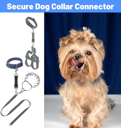 2 Pack Dog Collar Safety Clip, Adjustable Dog Safety Clip with Reflective Double Ended Backup Clasp, Leash Connector for Harness to Collar (Grey & Black)