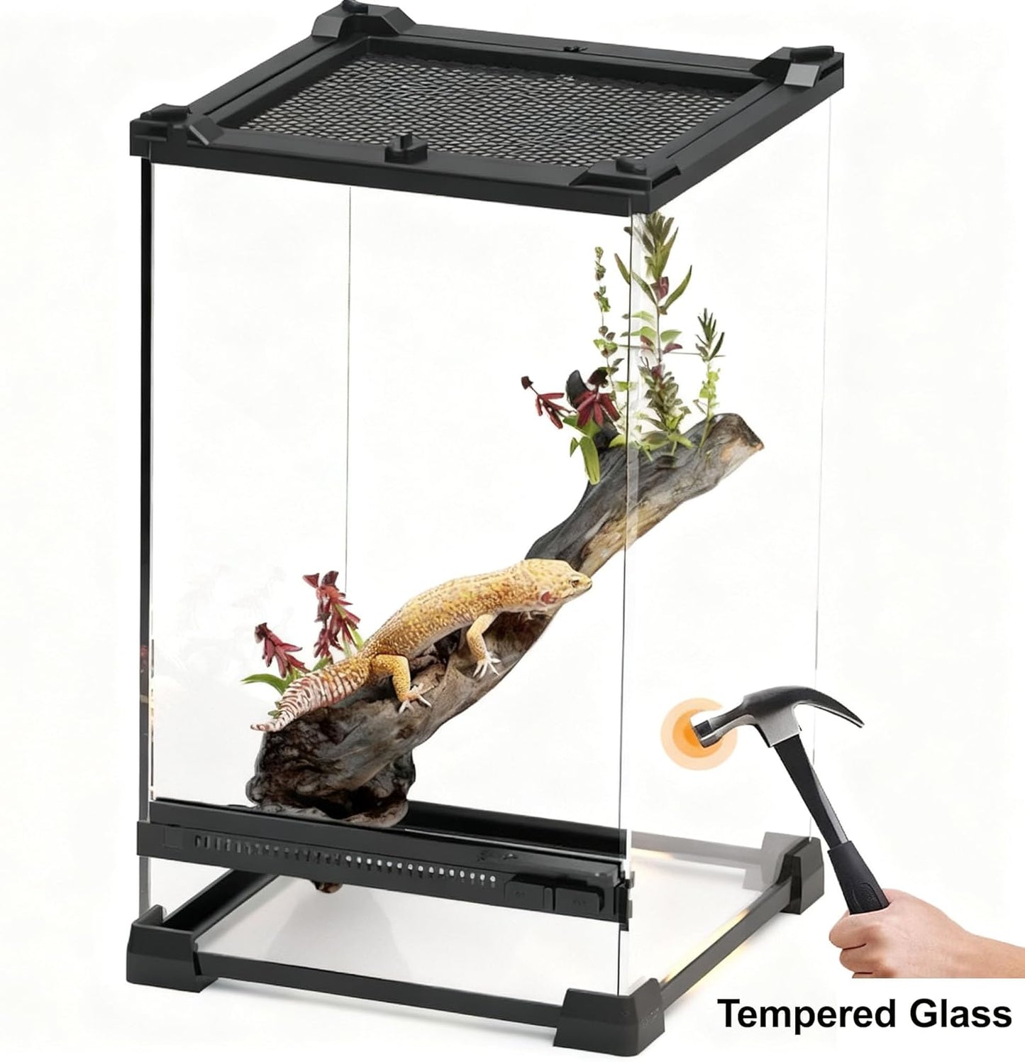 Reptile Tall Glass Terrarium Rainforest Habitat Single Door with Screen Ventilation,Small Reptile Terrarium for Spiders, Tarantulas, Snail, Mantis, Lizard (8 * 8 * 12 inch)