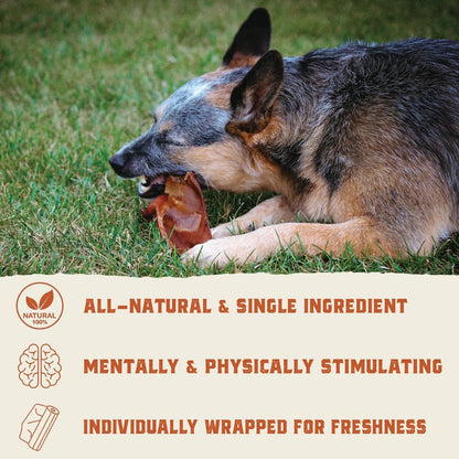 Hank & Roy All-Natural Pig Ears for Dogs + Dog Bully Sticks Bundle, 6 Pig Ears and 6 Bully Sticks, Long Lasting, Antibiotic and Hormone Free