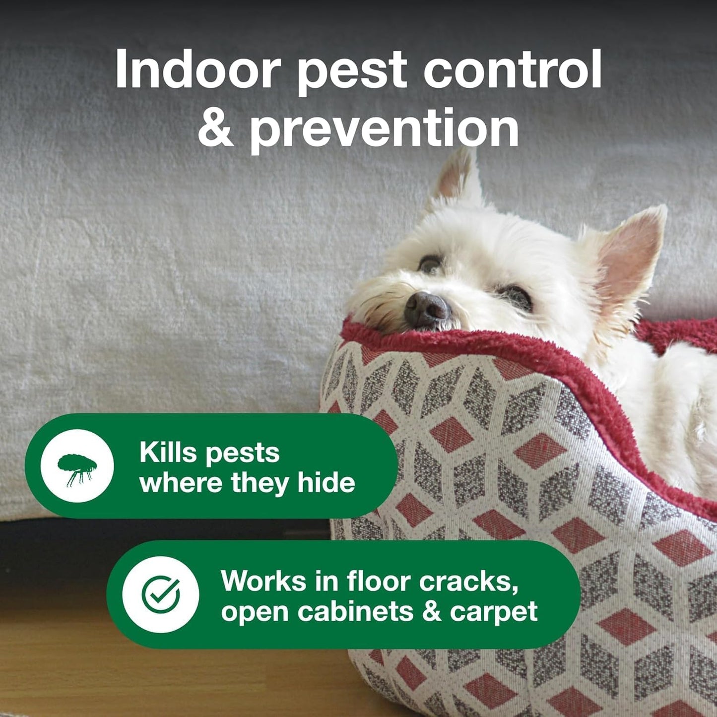 Bundle of Advantage Topical Flea Treatment and Prevention for Large Cats Over 9 lbs. + Advantage Household Flea Fogger for Home | 2 oz. Canisters (Pack of 3)