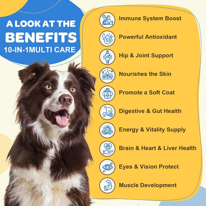 Dog Multivitamin Freeze Dried Chews & Probiotics for Dogs Soft Chews
