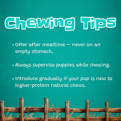 Junior Bully Sticks 6" Beef Bladder — 15 Count | Natural Single-Ingredient, Long-Lasting Dog Chews; Dental Support Treats for Pups and Small Dogs. Puppy Chew Sticks