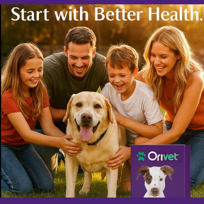 ORIVET GenoPet Dog DNA Test Kit | Vet-Approved | Identify 365+ Dog Breeds | Canine Ancestry & Genetic Health Traits | at-Home Swab | Results in 21–25 Days from Kit Arrival