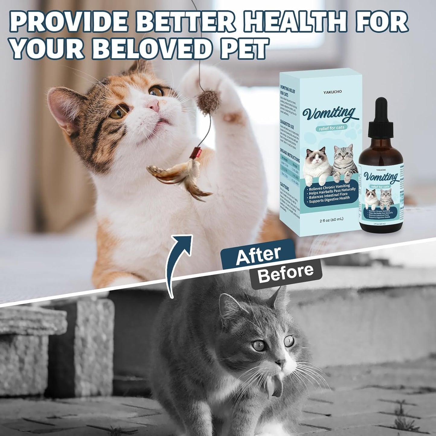 Vomiting Relief for Cats, Cat Vomit Remedy, Probiotic Digestive Support Liquid, Helps Reduce Hairballs, Relieve Sensitive Stomach & Support Gut Health, Gentle Daily Formula - 60mL