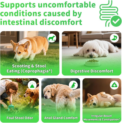 Dog Probiotics & Digestive Enzymes – Pumpkin Fiber Chews for Gut Health, Diarrhea & Upset Stomach Relief, Gas & Stool Support, Beef Flavor Soft Chews – 90 Count