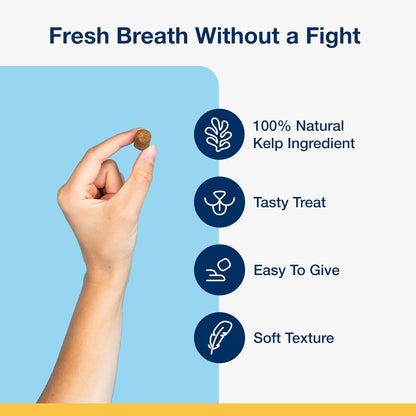 ProDen PlaqueOff Soft Chews with Natural Kelp - for Small & Medium Breed Dogs & Cats - Supports Normal, Healthy Teeth, Gums, and Breath Odor in Dogs & Cats - 90 Soft Chews