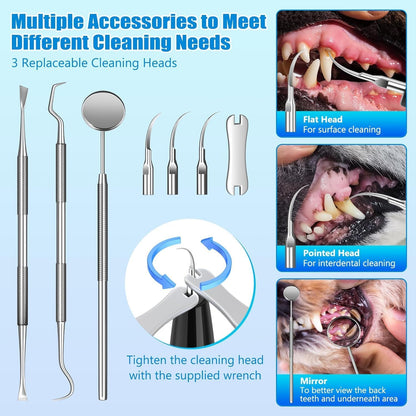 KT Dog Teeth Cleaning Kit for Small & Large Dogs – Complete Pet Dental Care Set with Enzymatic Toothpaste, Dual-Head & Finger Toothbrush – Plaque & Tartar Remover, Fresh Breath Oral Hygiene Solution