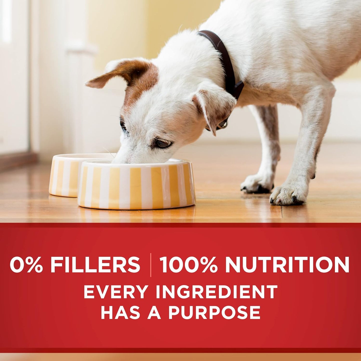 Purina ONE Natural Wet Dog Food Gravy, Tender Cuts in Gravy Beef and Barley Entrée - 13 Ounce (Pack of 12)