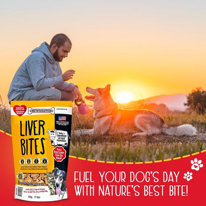 Chewmasters 100% Pure Beef Liver Bites - Healthy Freeze Dried Liver Treats for Dogs of All Life Stages - High Protein Dog Training Treats, Grain Free, All Natural, Zero Additives - Made in USA, 17.6oz