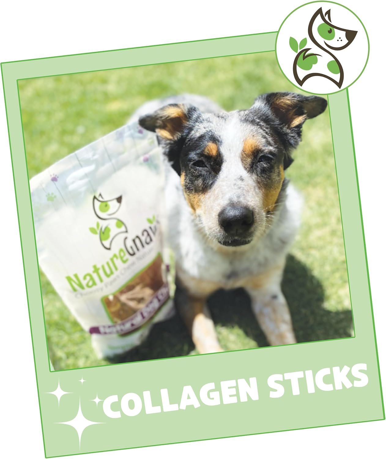 Nature Gnaws Collagen Sticks for Dogs 6" (12 Count) - Long Lasting for Small and Medium Dogs - Natural Beef Hide Dog Chew Bones