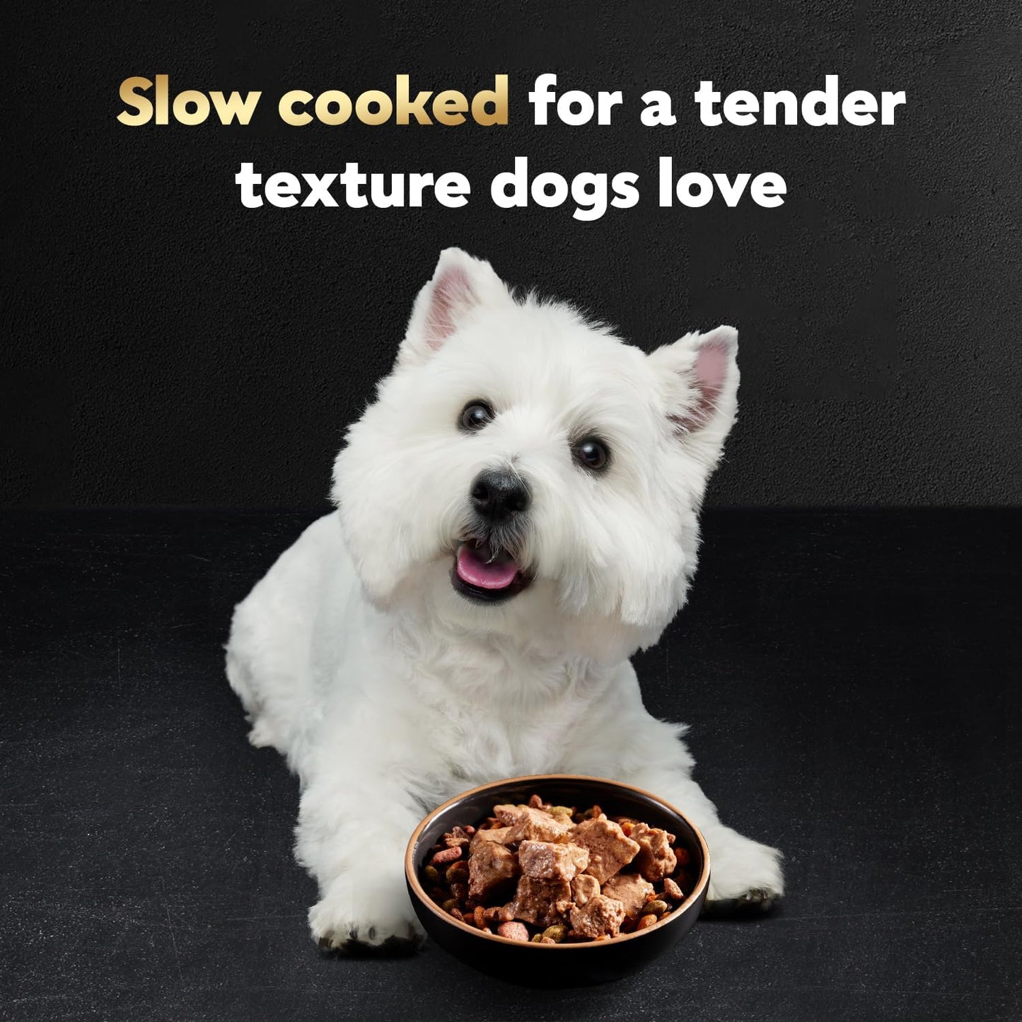 Cesar Adult Wet Dog Food Steak Lovers Variety Pack with Real Meat, 3.5 oz. Easy Peel Trays, 36 Count