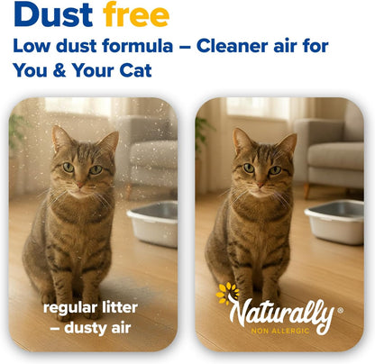 Cat Litter, Quick Clumping, 11 lb, 100% Natural Sunflower Hulls, Sunflower Scent (Pack of 1)