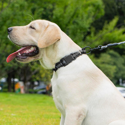 Martingale Dog Collar with AirTag Holder, Reflective Nylon, Quick Release Buckle, No Pull Pet Training Collars for Small Medium Large Dogs (Black, X-Large)