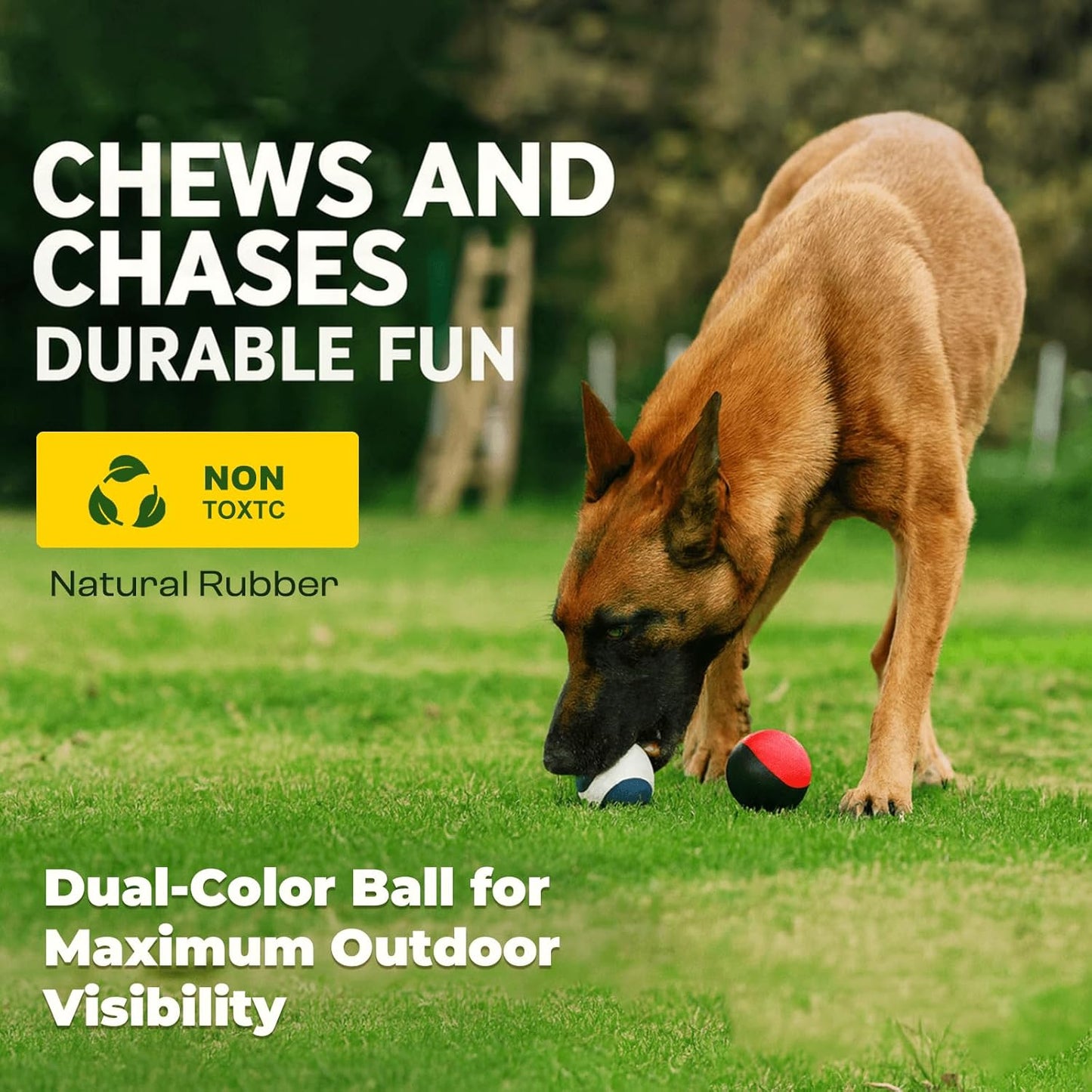 Squeaky Dog Ball for Aggressive Chewers – Durable Rubber Training Ball for Outdoor Fetch & Recall, High Bounce Interactive Dog Toy for Medium & Large Dogs, with Floating Water Feature for Pool & Beach