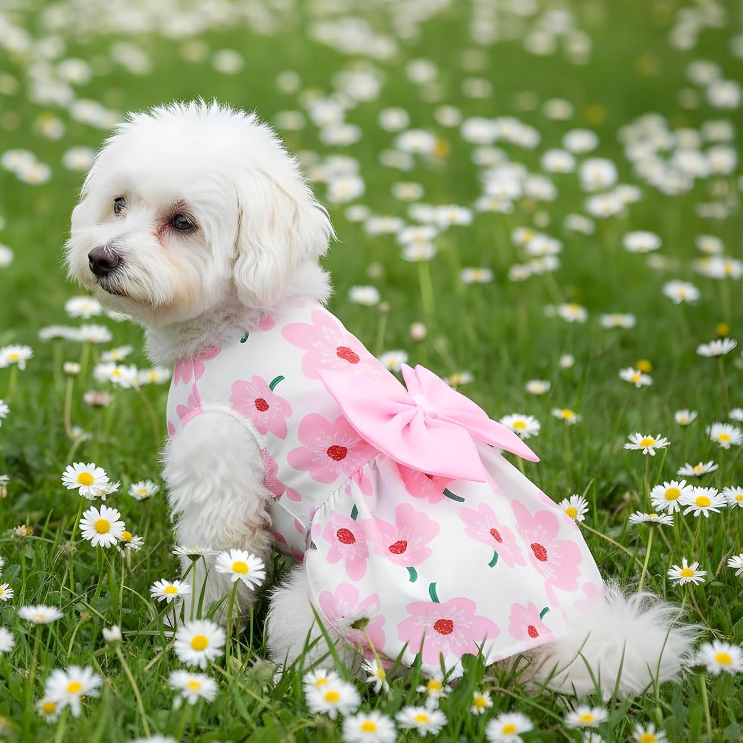 Dog Floral Dress, Cute Dog Dresses with Pink Bow, Pet Princess Dresses, Pink Floral Dogs Cat Clothes, Spring Summer Pet Clothes for Chihuahua, Yorkie, Puppy and Small Cats (XS Size)