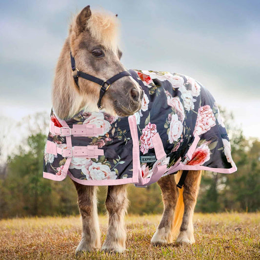 Jeffers Expression Pony 1200 Denier Standard Neck Turnout Blanket 240 Gram, 63" – Waterproof Breathable Medium Weight Horse Rug for Mini Horses, Ponies, Winter Stable Outdoor Use - Rose Garden