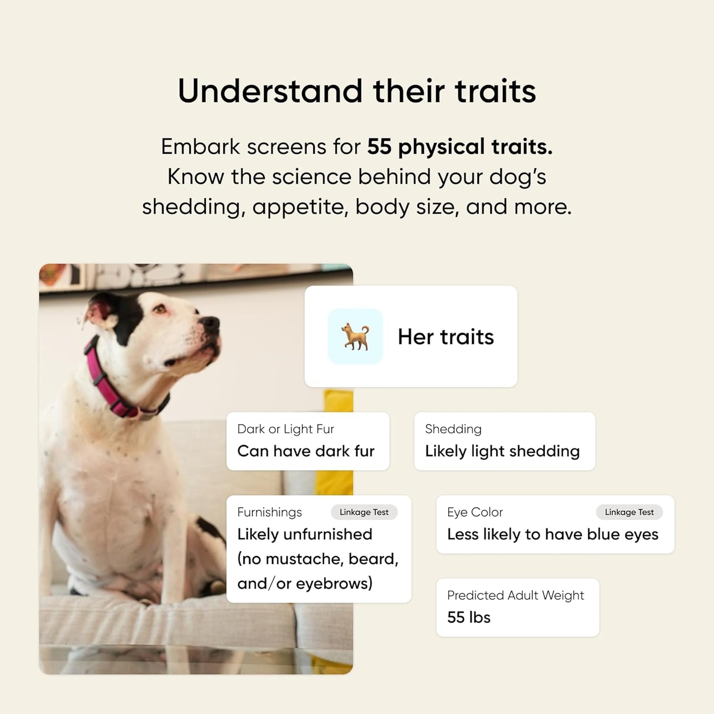 Embark Breed & Health Kit - Dog DNA Testing Kit - Discover Breed, Ancestry, Relative Finder, Genetic Health, Traits, Allergy Risk Scores