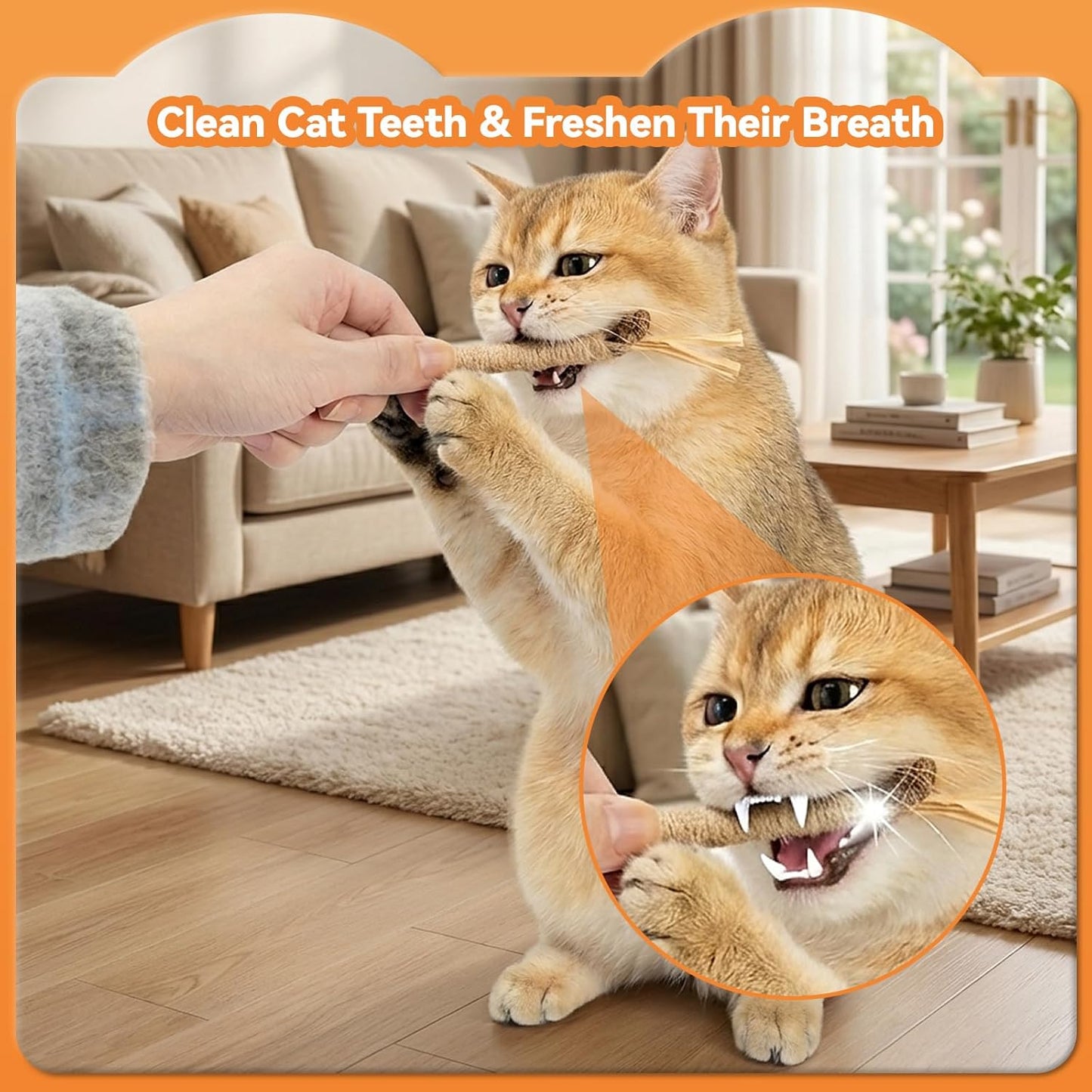 6Pcs Silvervine Sticks for Cats with Catnip Bag, Cat Chew Toys for Teeth Cleaning and Anxiety Relief, Natural Dental Care Kit for Indoor Cats & Kittens