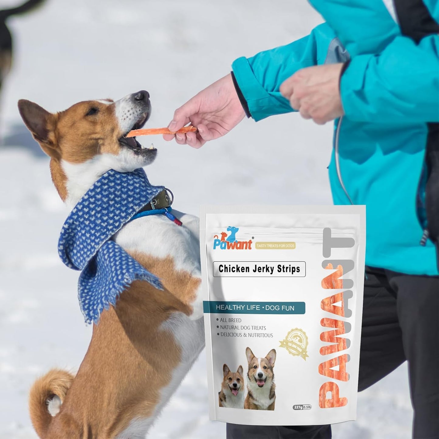 Chicken Jerky Strips for Dogs -Real Chicken, High Protein Dog Treats, Soft & Chewy Training Rewards for Puppies & Small Breeds, All-Natural Ingredients 454g/1lb