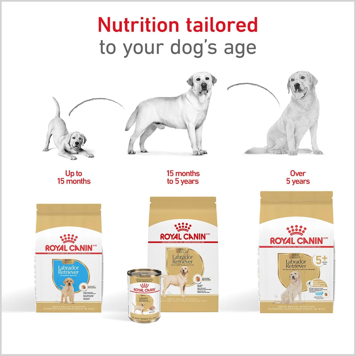 Royal Canin Breed Health Nutrition Labrador Retriever Puppy Dry Dog Food, 2.5 lb Bag